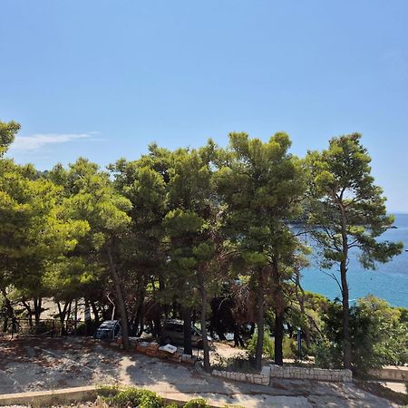 Apartment Kristic - Saplunara, Mljet Babino Polje 외부 사진