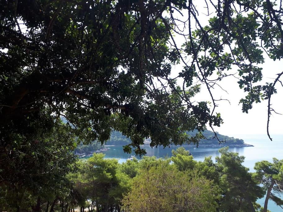 Apartment Kristic - Saplunara, Mljet Babino Polje 외부 사진
