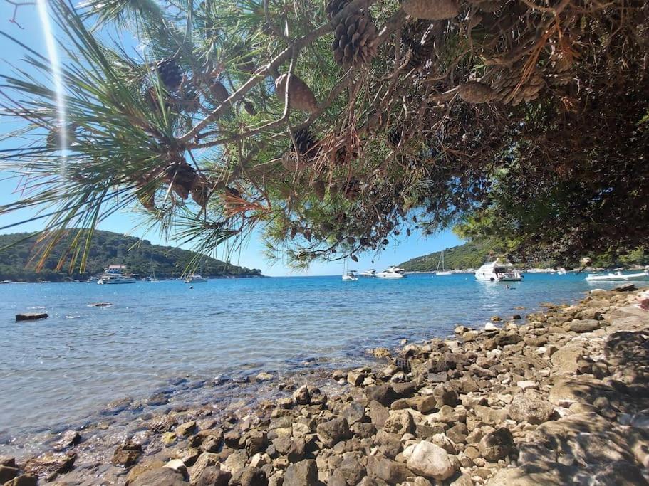 Apartment Kristic - Saplunara, Mljet Babino Polje 외부 사진