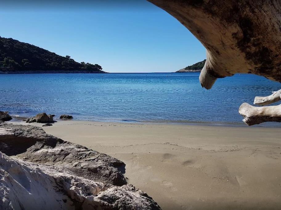Apartment Kristic - Saplunara, Mljet Babino Polje 외부 사진