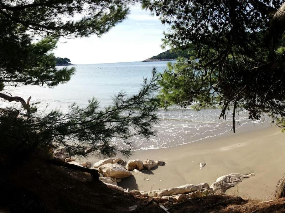 Apartment Kristic - Saplunara, Mljet Babino Polje 외부 사진