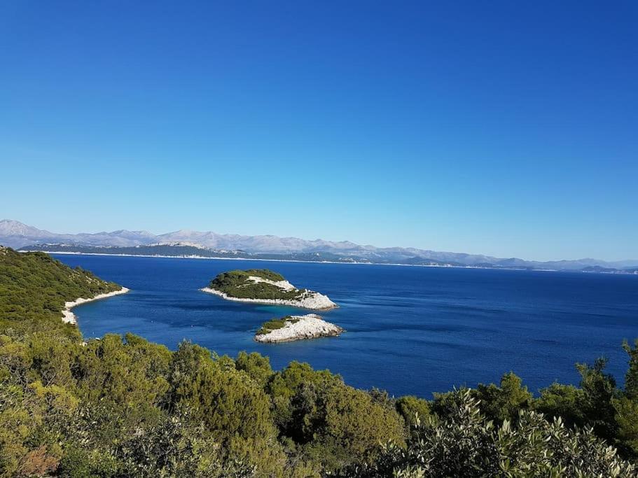 Apartment Kristic - Saplunara, Mljet Babino Polje 외부 사진
