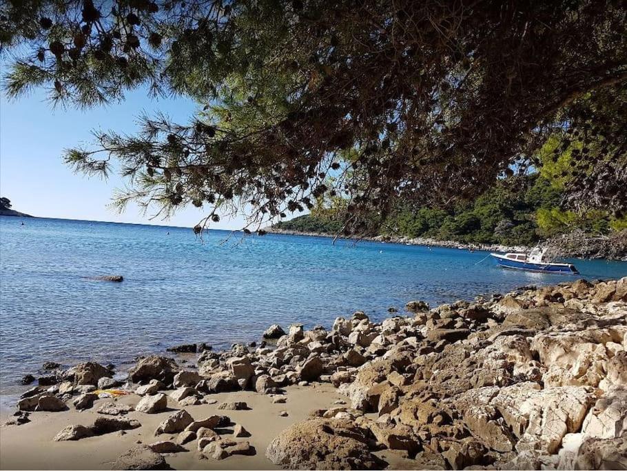 Apartment Kristic - Saplunara, Mljet Babino Polje 외부 사진