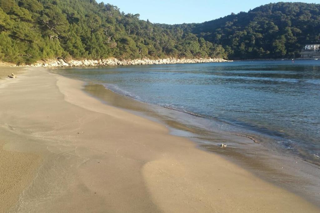 Apartment Kristic - Saplunara, Mljet Babino Polje 외부 사진