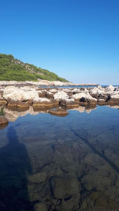 Apartment Kristic - Saplunara, Mljet Babino Polje 외부 사진